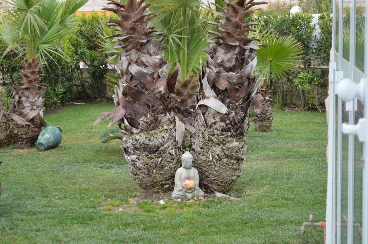 Floripa Surf House Bed & Breakfast Santa Maria Del Focallo Dış mekan fotoğraf